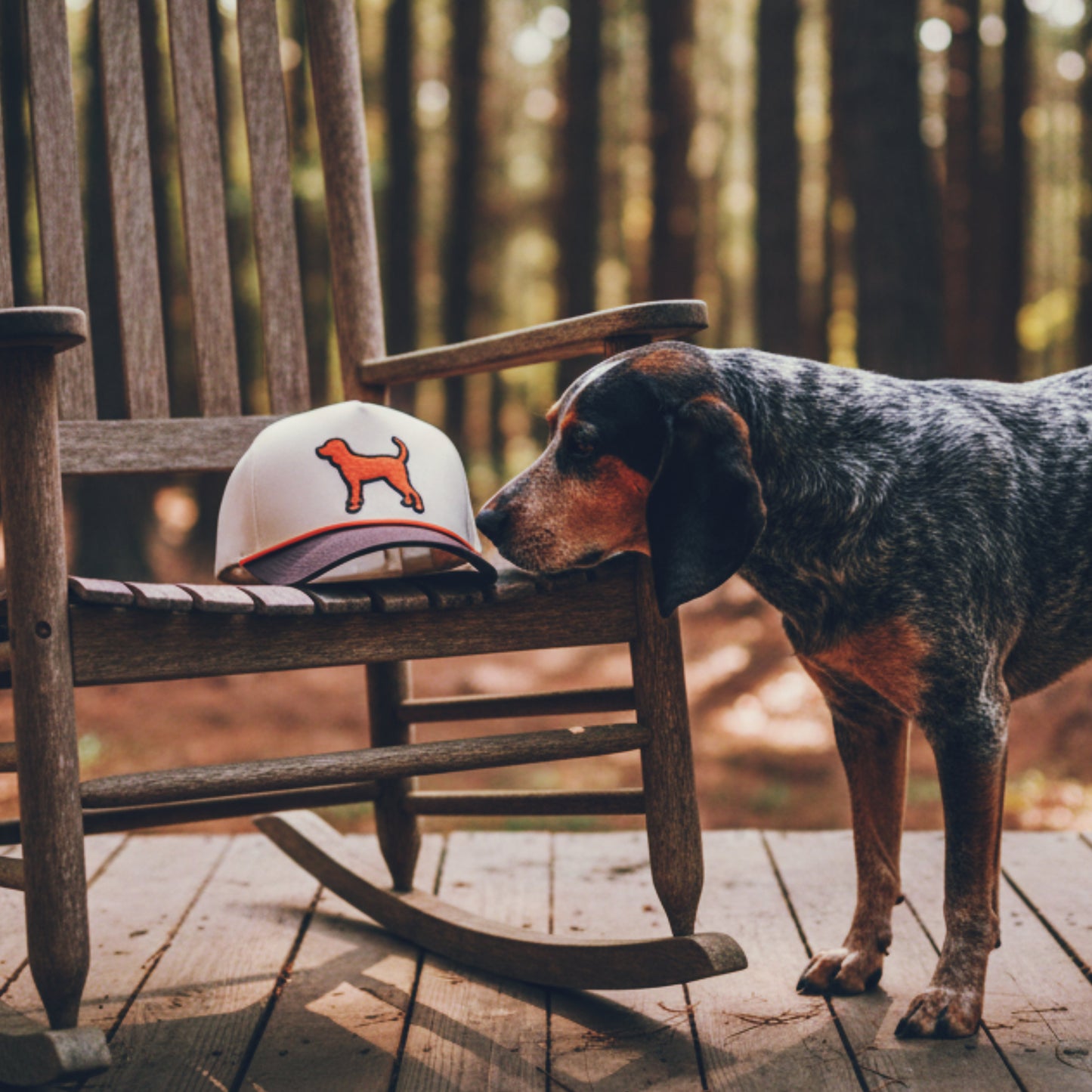 Bluetick Decals